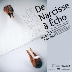 echo narcisse echo narcisse