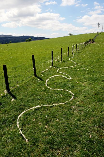 Goldsworthy