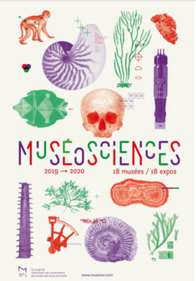 MuseoSciences