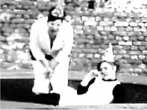 Un soir d'été. Sous un chapiteau.Un lourd rideau rouge, des projecteurs, des clowns, des acrobates, des sourires, des délires. Un moment de plaisir,un souvenir d'enfance. Inoubliable.